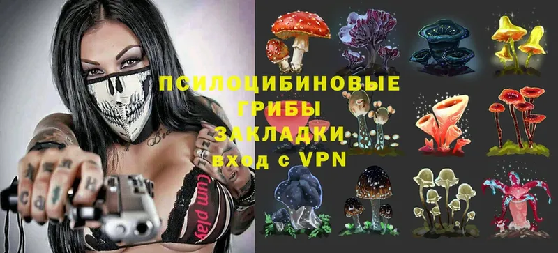 Галлюциногенные грибы Magic Shrooms  магазин    кракен вход  Арсеньев 